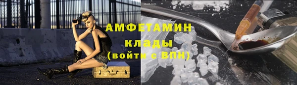 ГАЛЛЮЦИНОГЕННЫЕ ГРИБЫ Аркадак