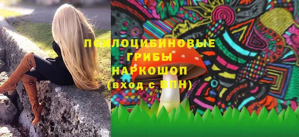 ГАЛЛЮЦИНОГЕННЫЕ ГРИБЫ Арсеньев