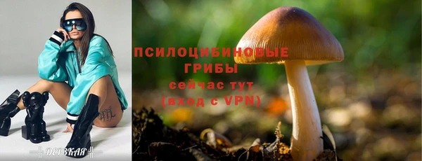ГАЛЛЮЦИНОГЕННЫЕ ГРИБЫ Аркадак