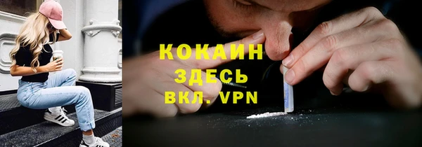ГАЛЛЮЦИНОГЕННЫЕ ГРИБЫ Арсеньев