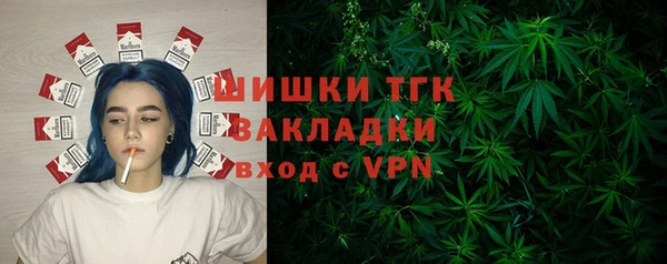 винт Армянск